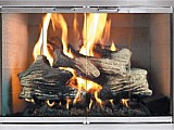 Fireplace Doors